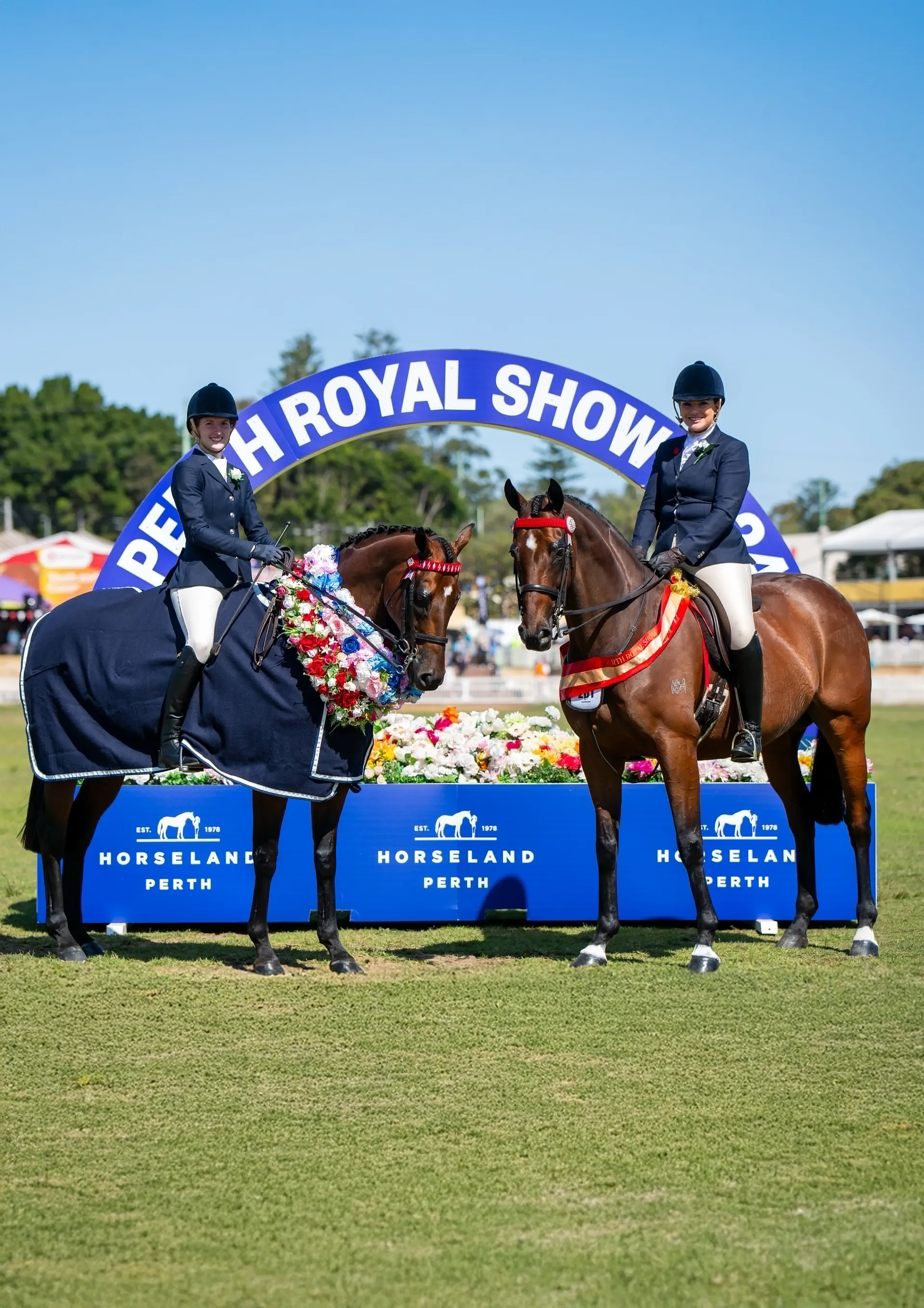 Show Horse