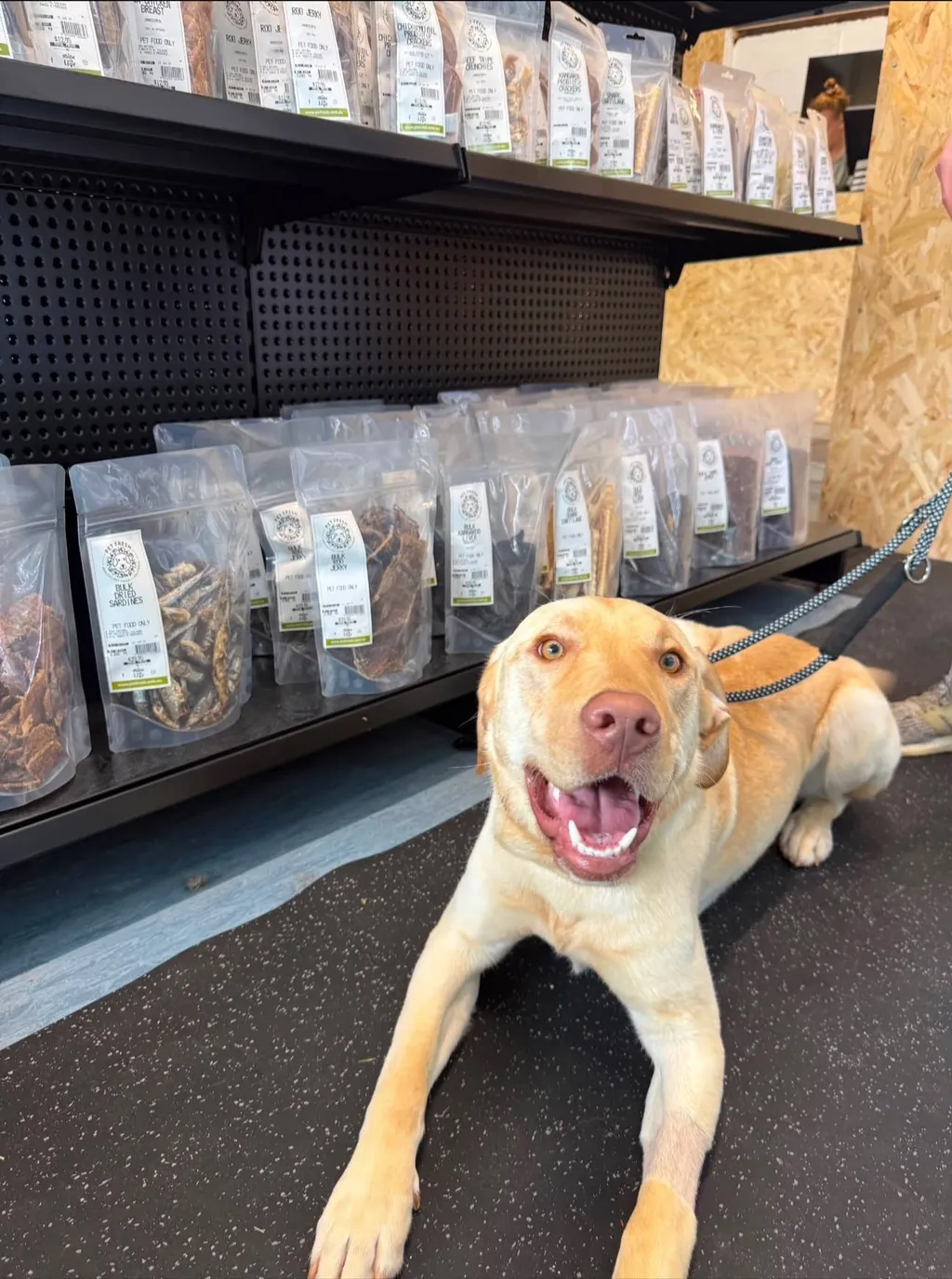 dog treats