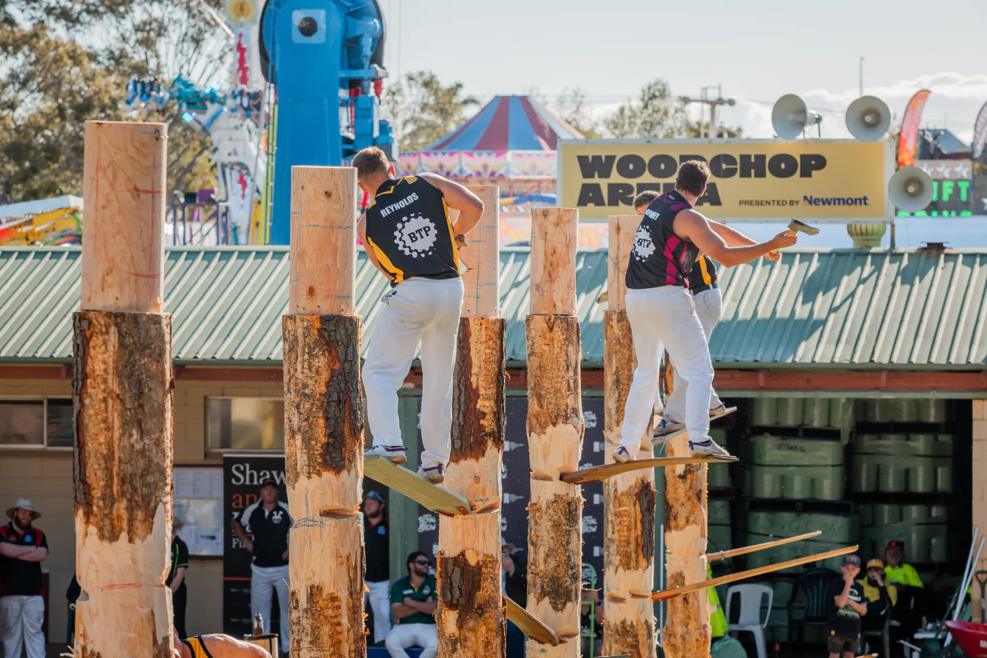 Woodchopping