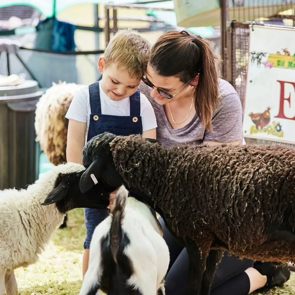Child and adult petting sheep at a farm experience.