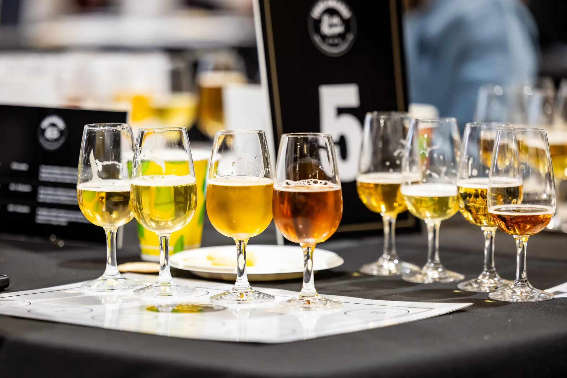 Row of beer samples in tasting glasses at the Perth Royal Food Awards