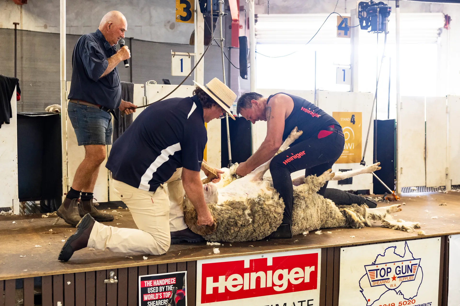 Shearing and Woolhandling