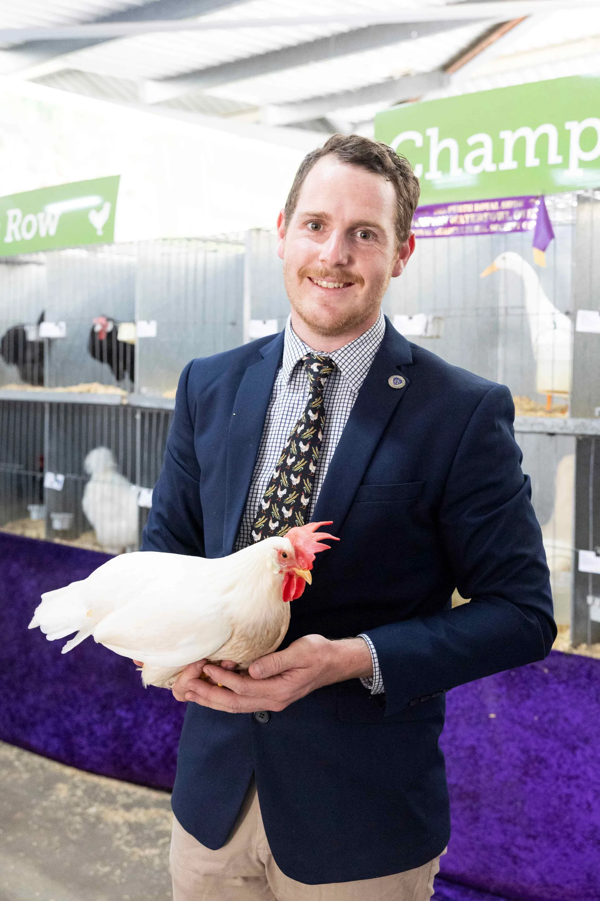 Poultry
