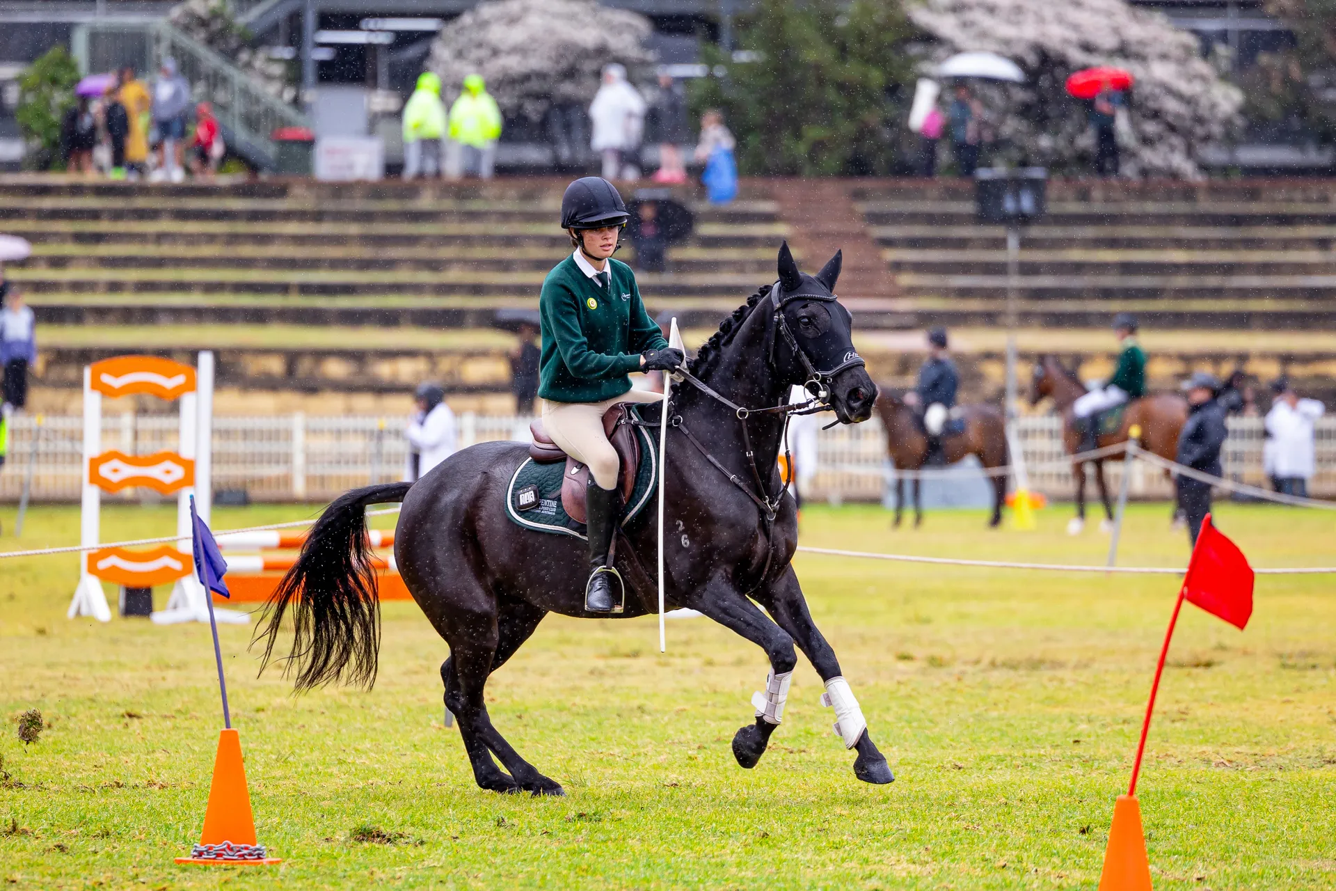 Pony Club