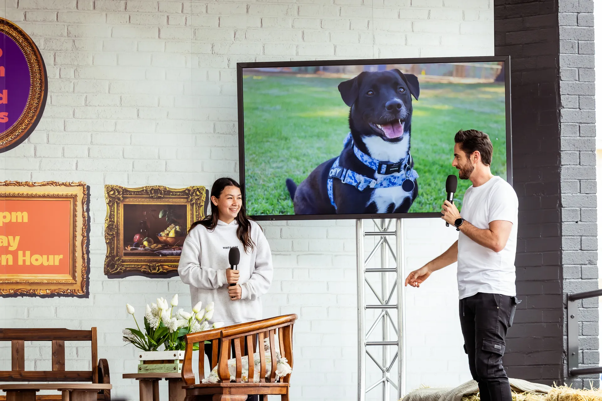 Pet Look Alike Competition