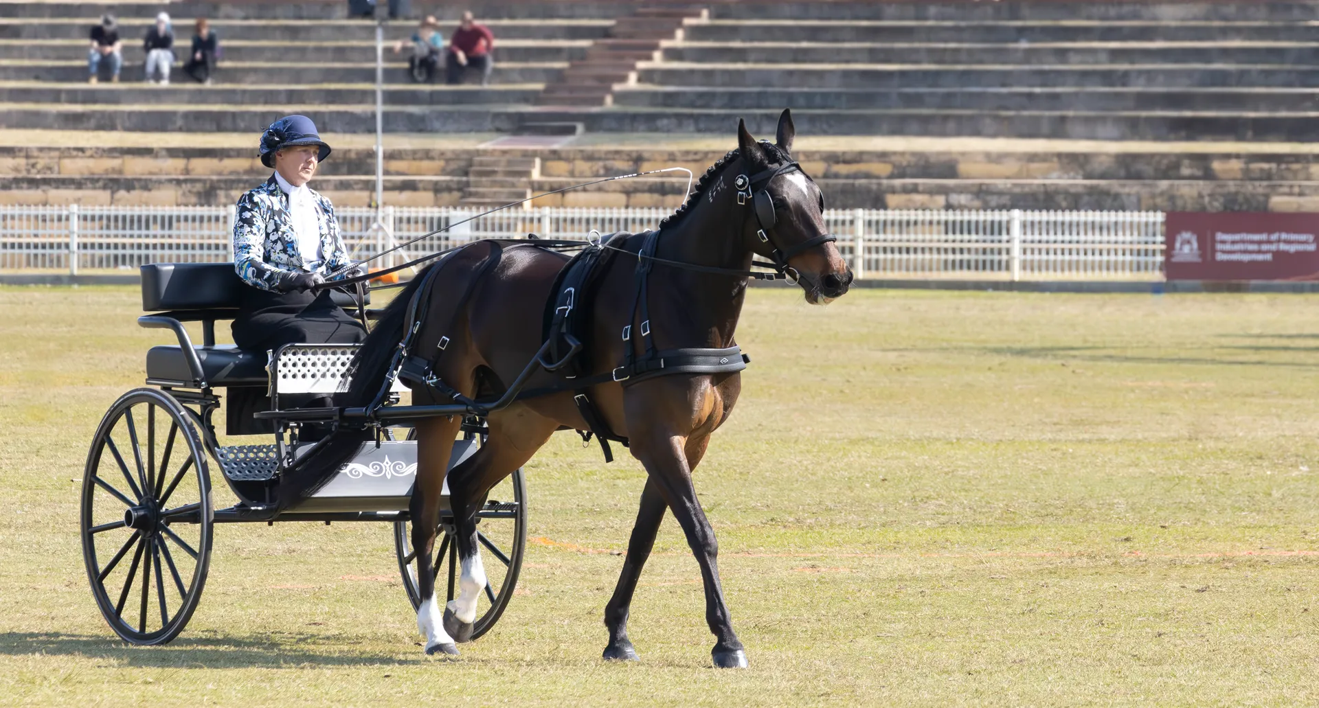 Carriages