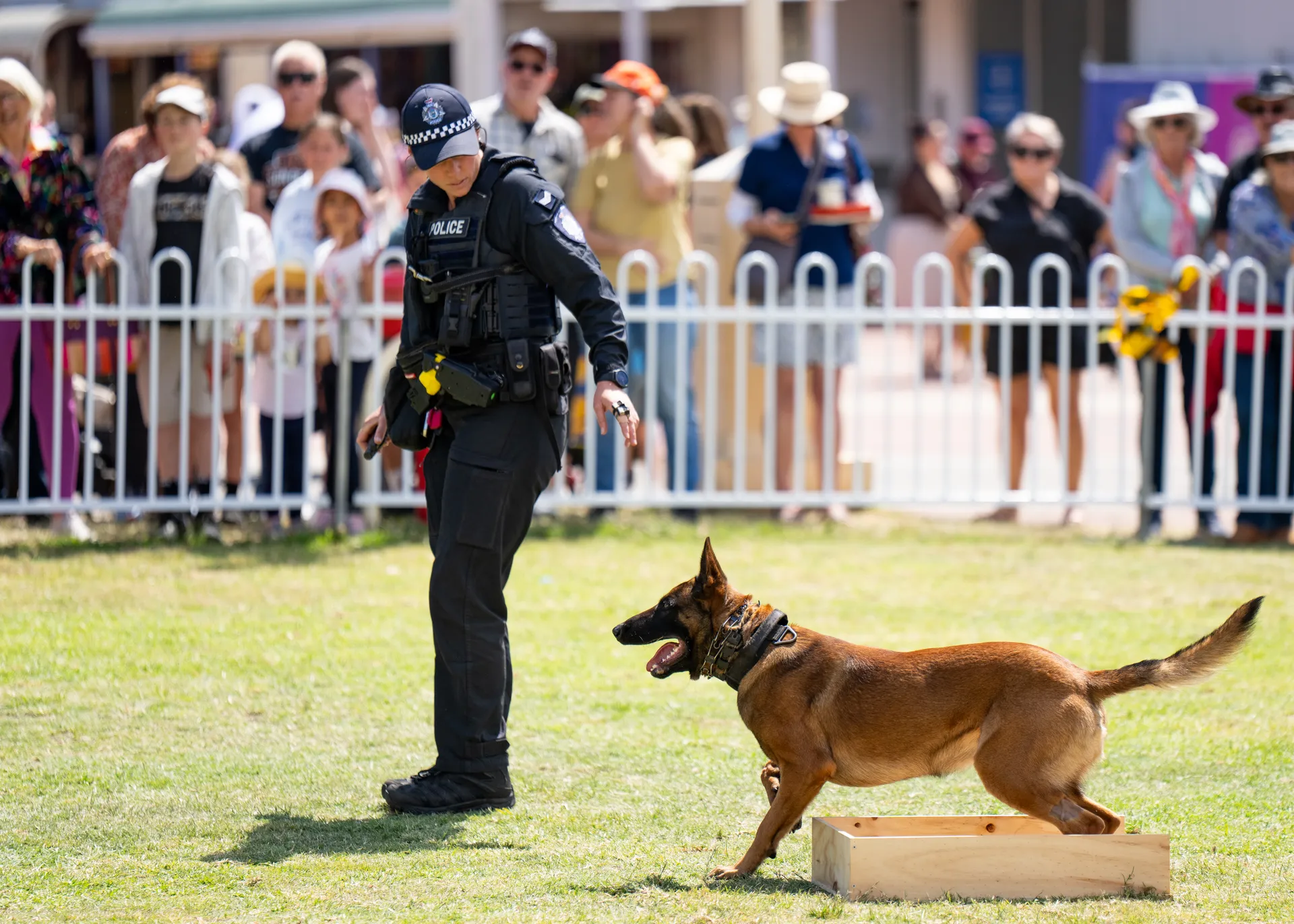 Police Dog Demo at Show