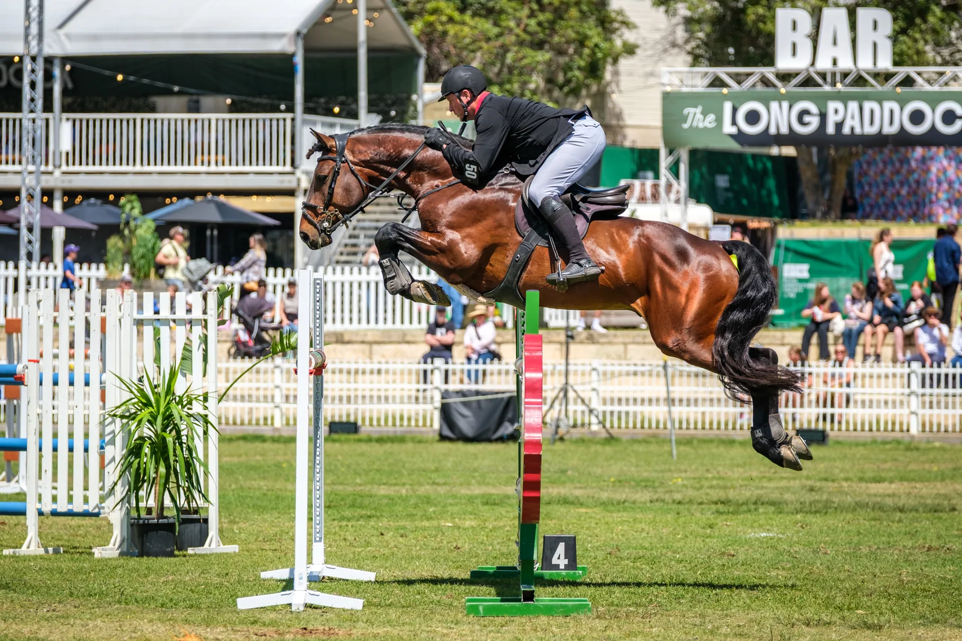 Show Jumping