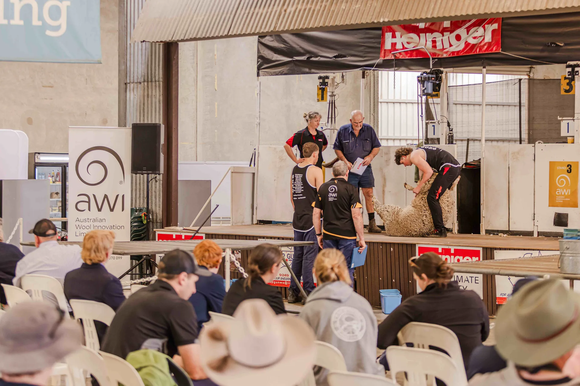 Sheep and Woolhandling