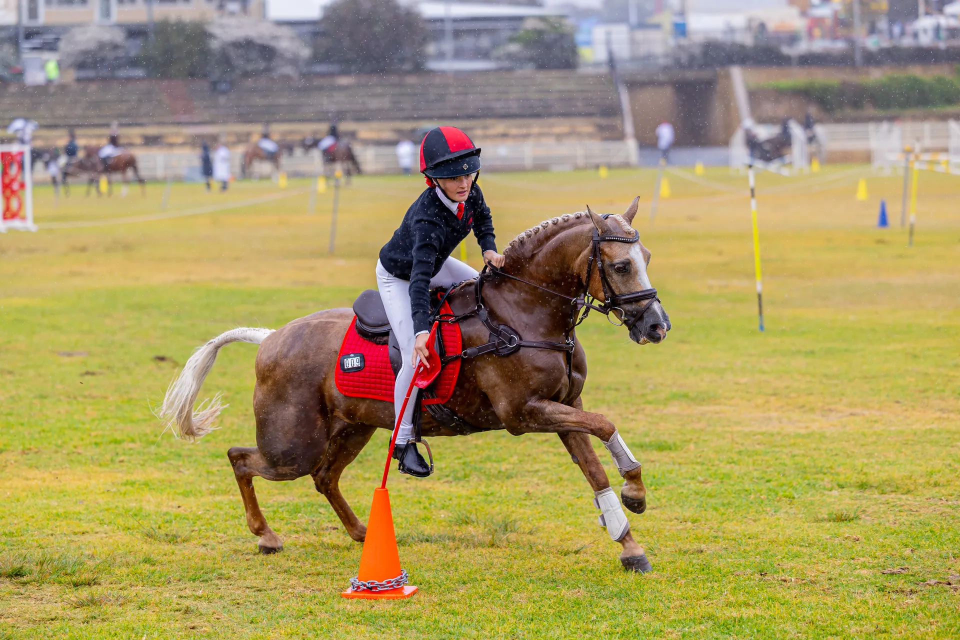 Pony Club Action