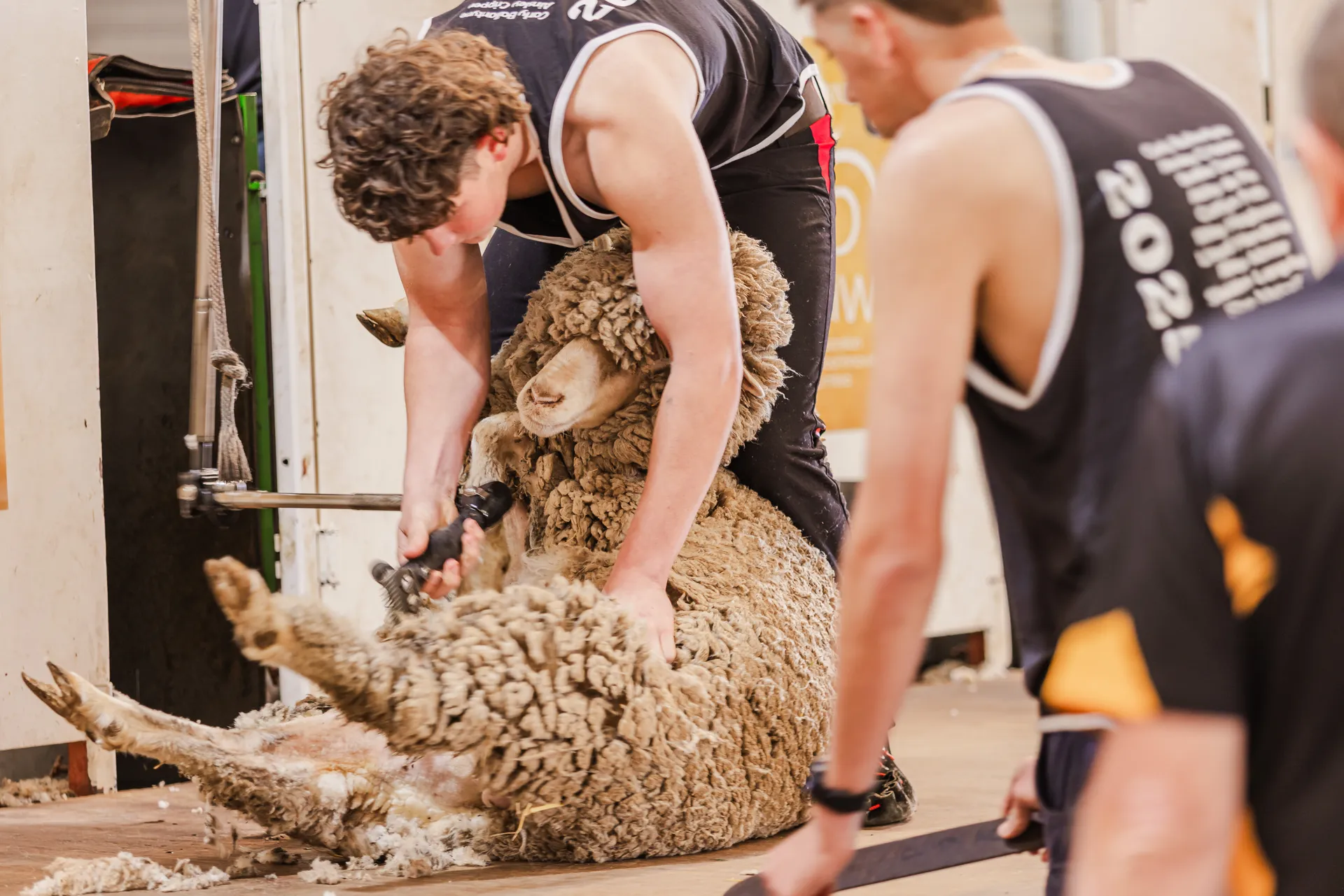 Celebrate the skills of the country 