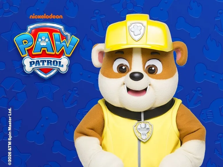 Paw Patrol Resized Assets