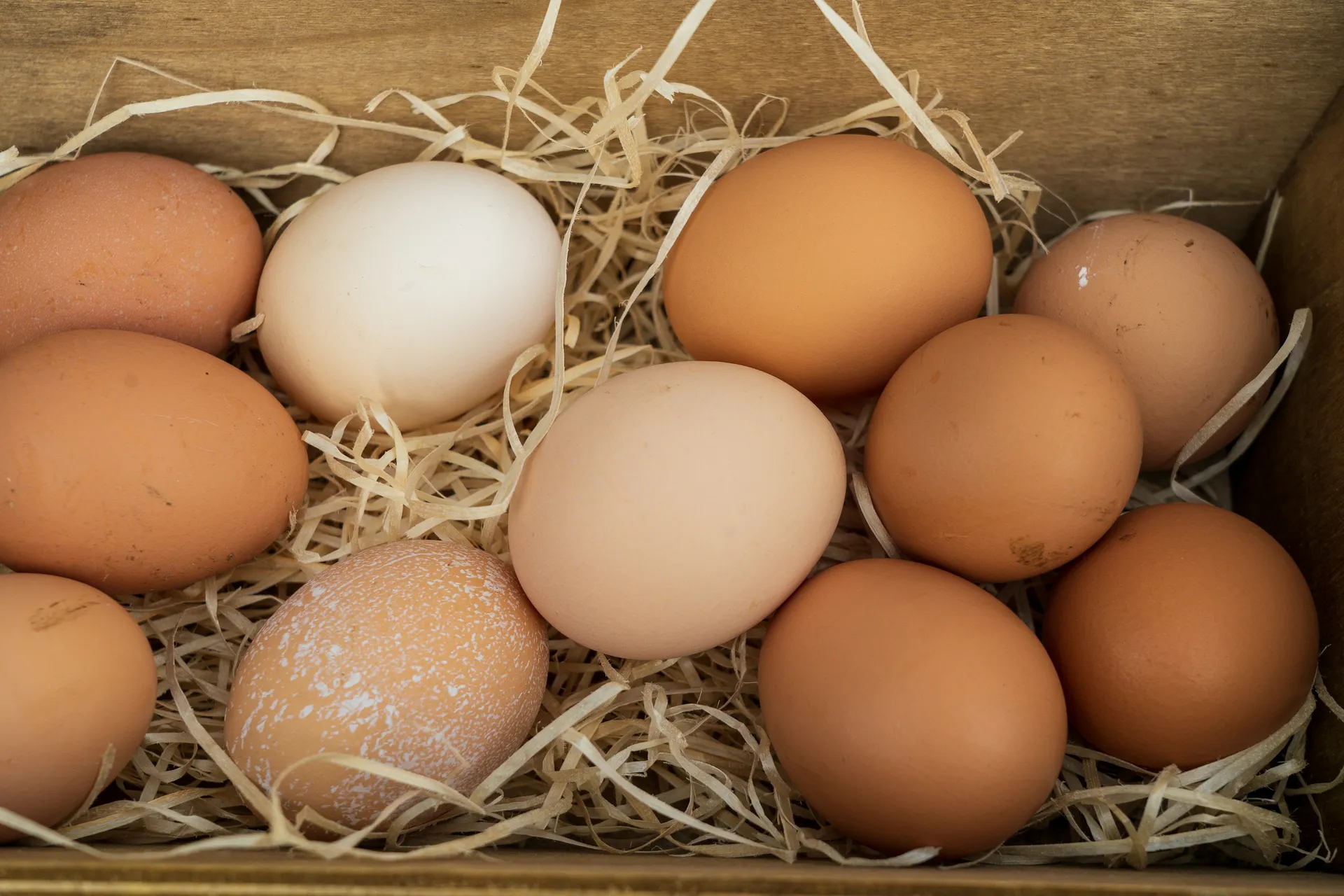 Photo of Eggs in box | Photo by Nic Fewings