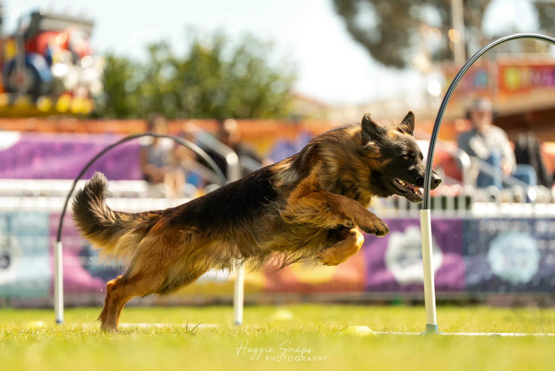 Agility