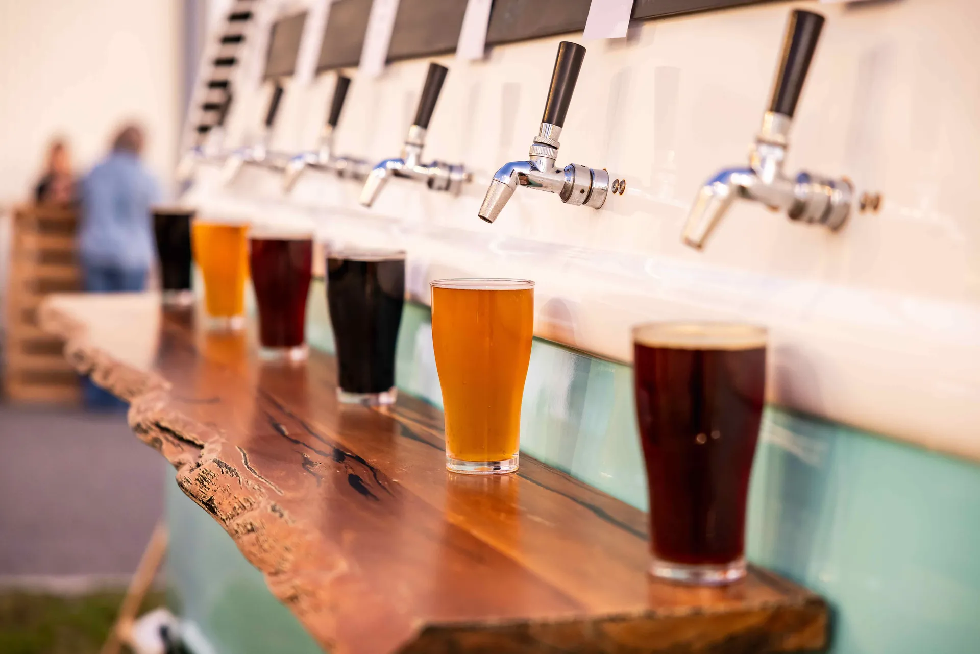 Beer samples lined up on tap at the Perth Royal Food Awards.