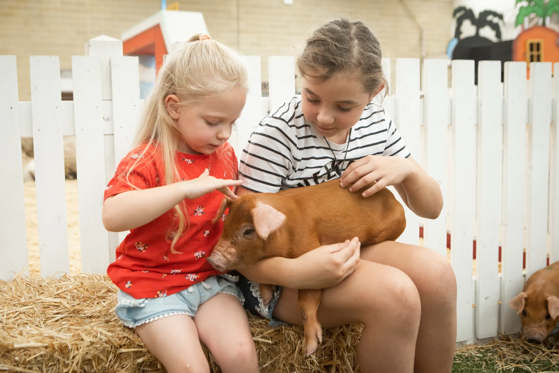 Children with Farm Animals
