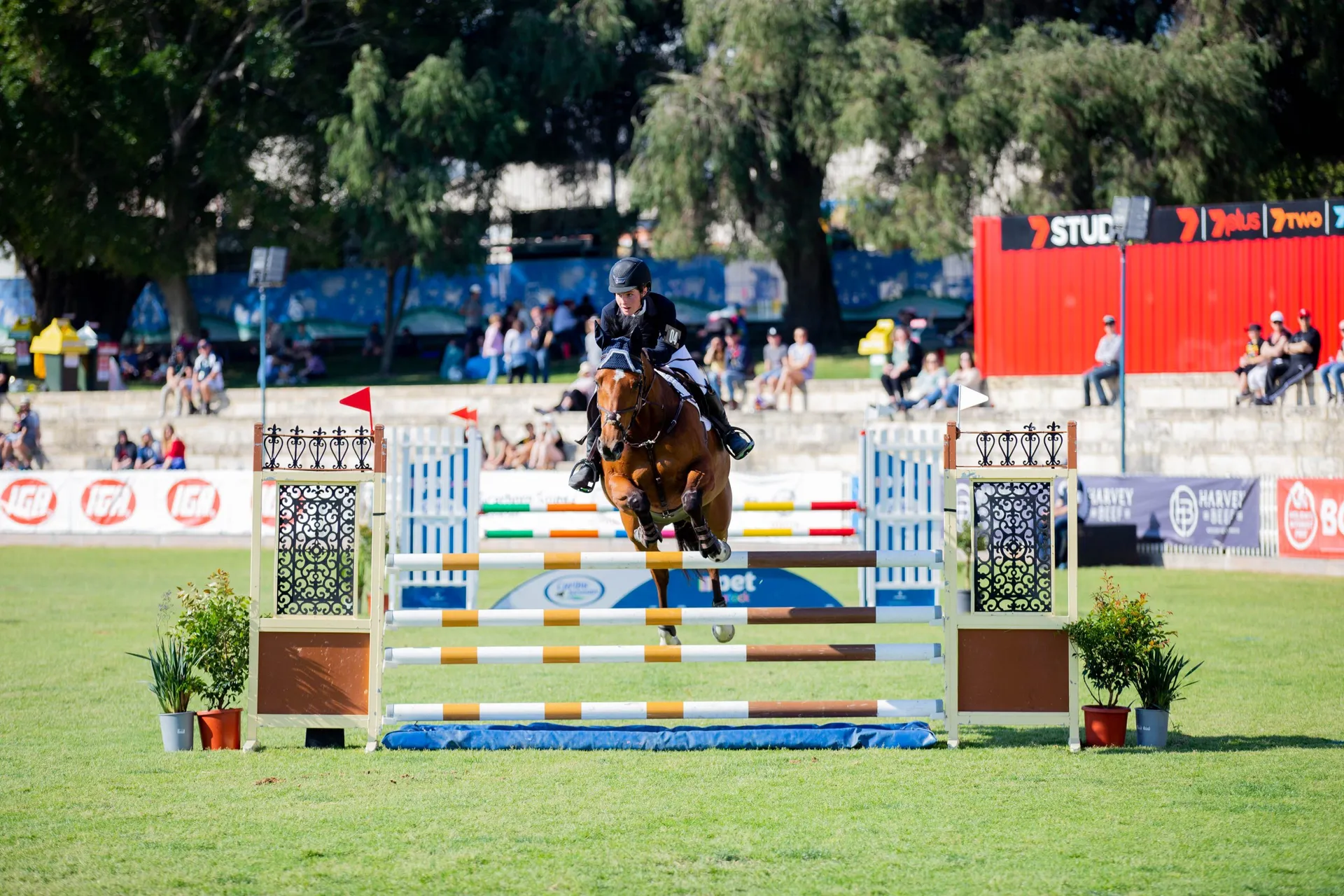 Show Jumping