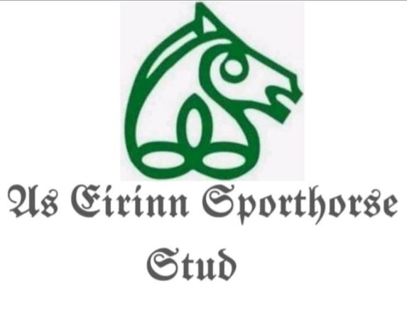 As Eirinn Clydesdale & Sporthorse Stud