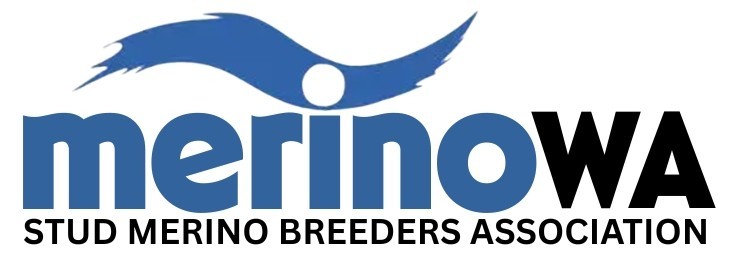 Stud Merino Breeders Association of WA