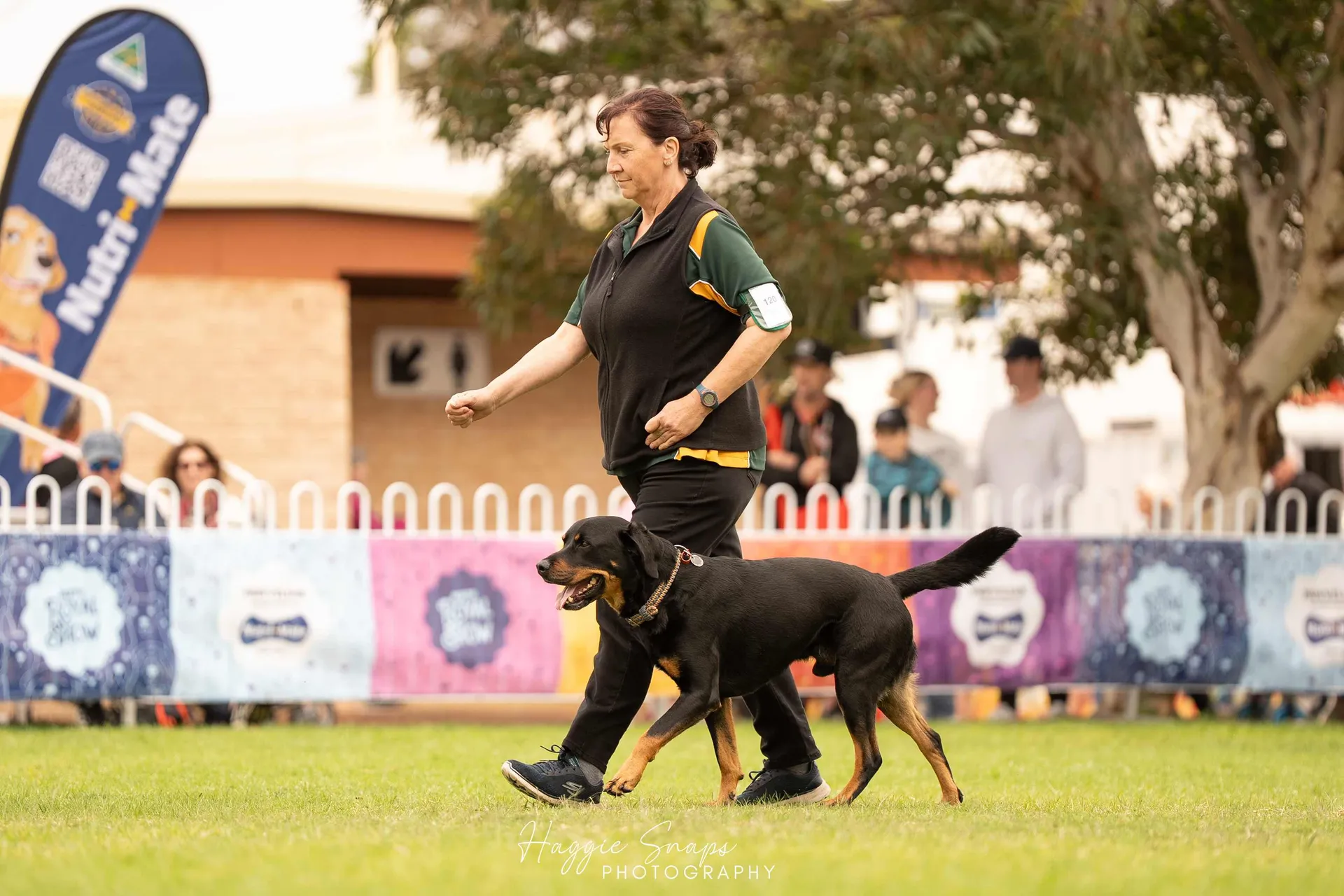 Dog Performance