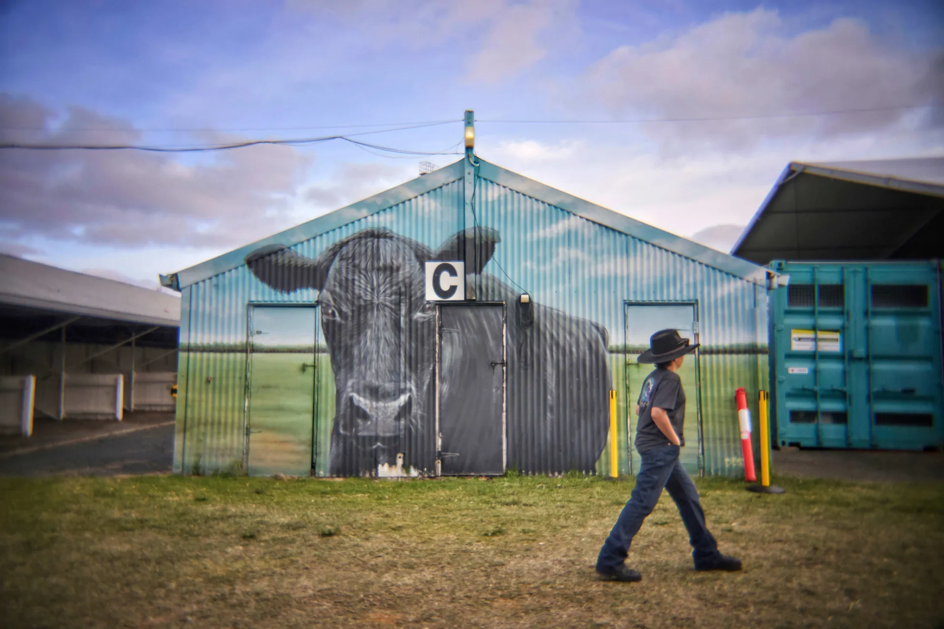 Person in a wide-brim hat walking past a corrugated shed painted with a large black-and-white cow mural, marked with a “C” sign, at an agricultural showground.