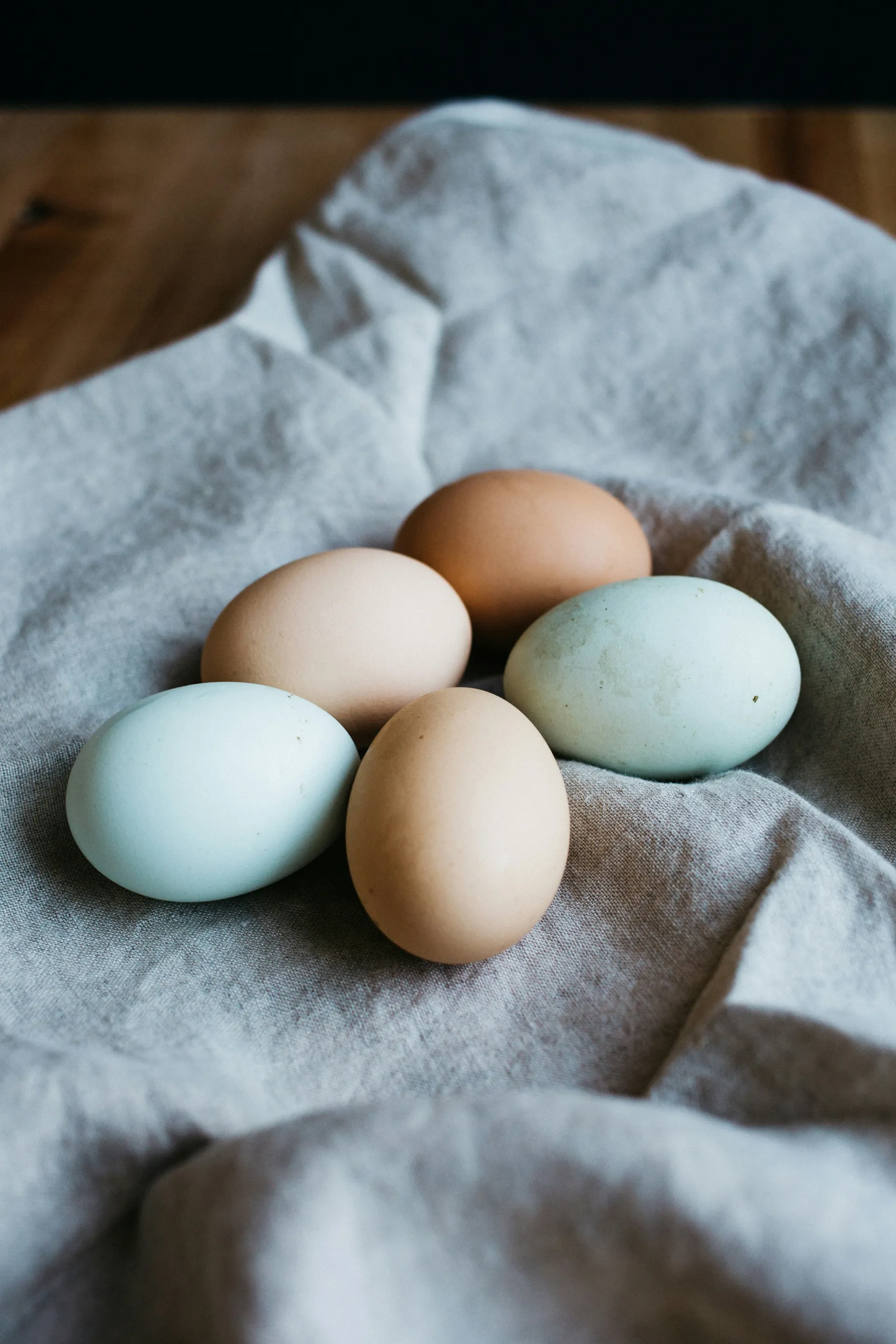 Egg Image by Rachael Gorjestani