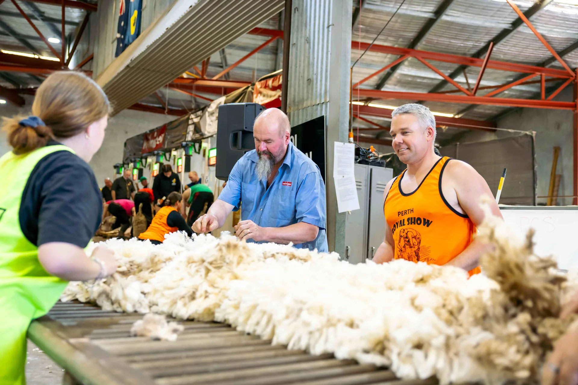 Sheep and Woolhandling