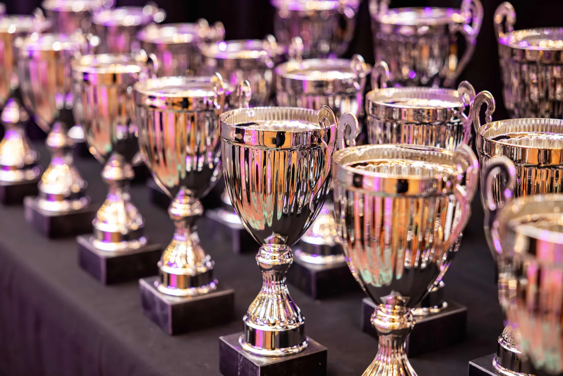 Rows of trophies prepared for the Perth Royal Food Awards