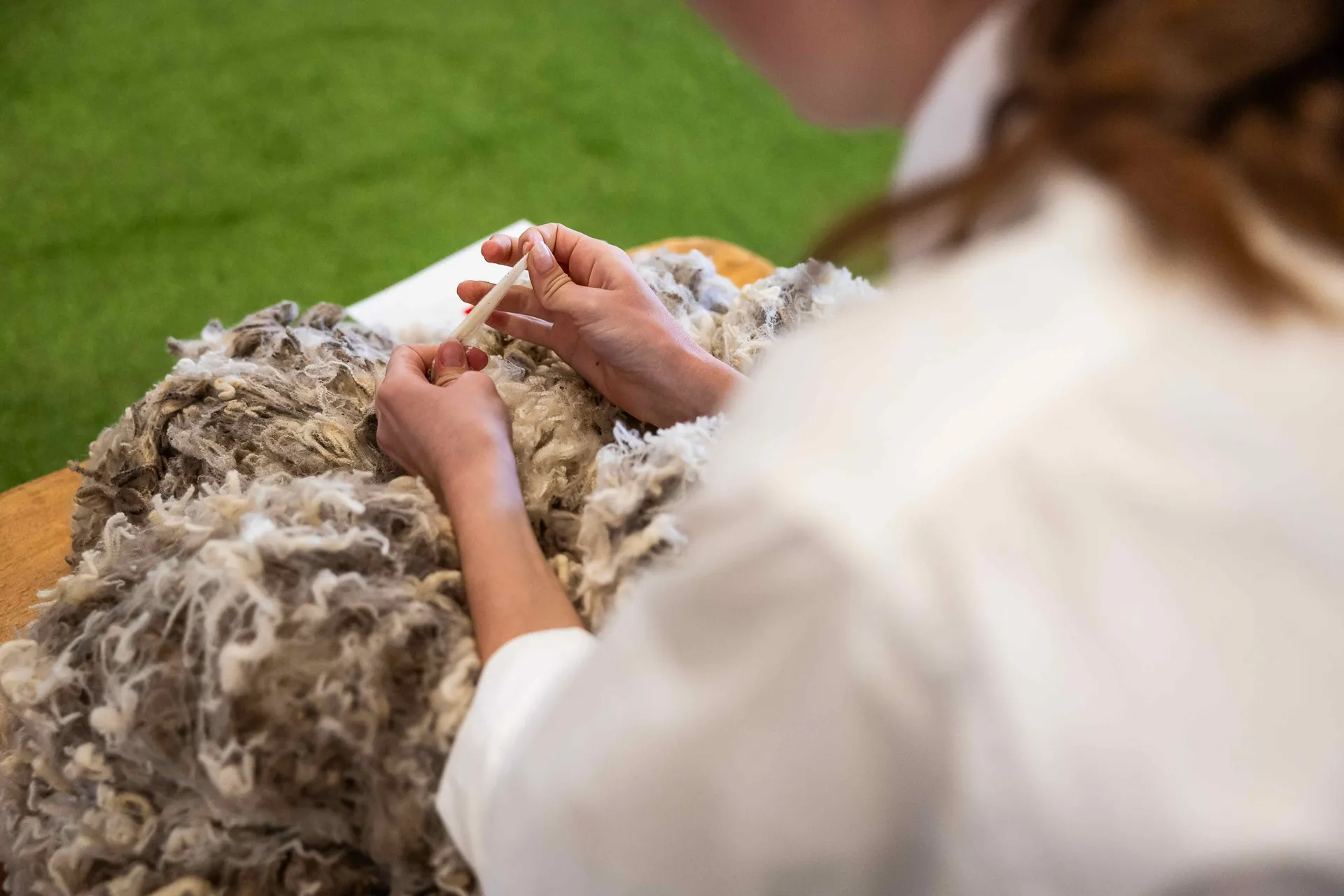 Wool