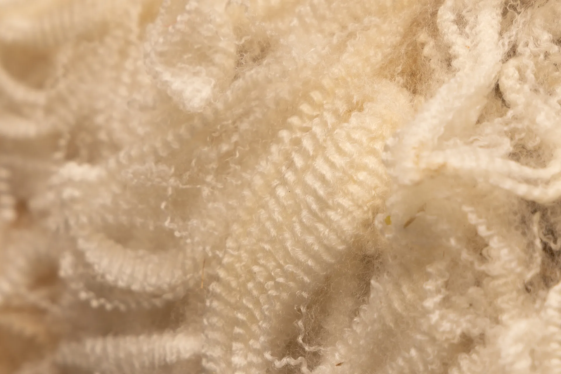 Close-up detail of soft, crimped sheep wool fibres, showing texture and natural curls.