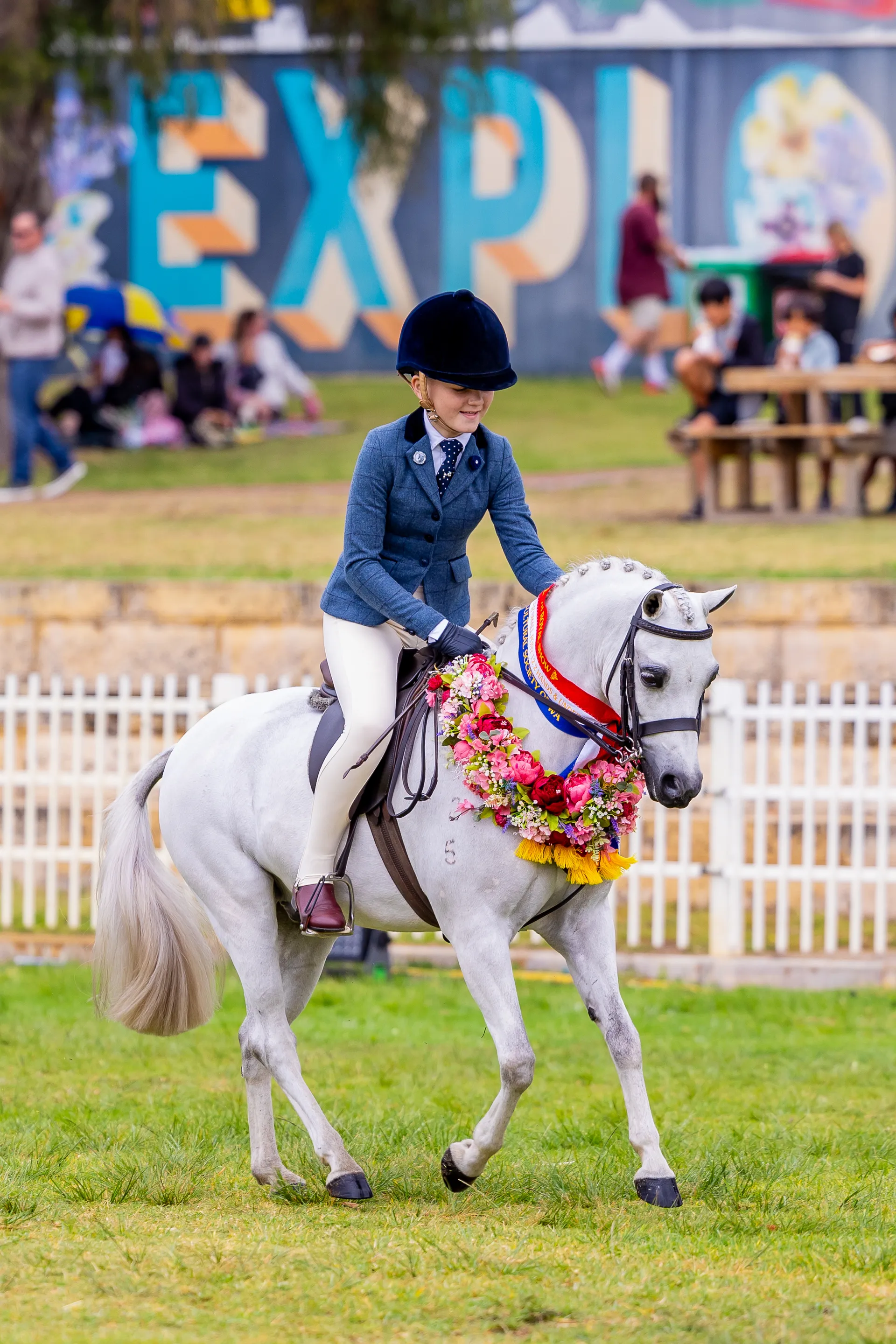 Show Horse