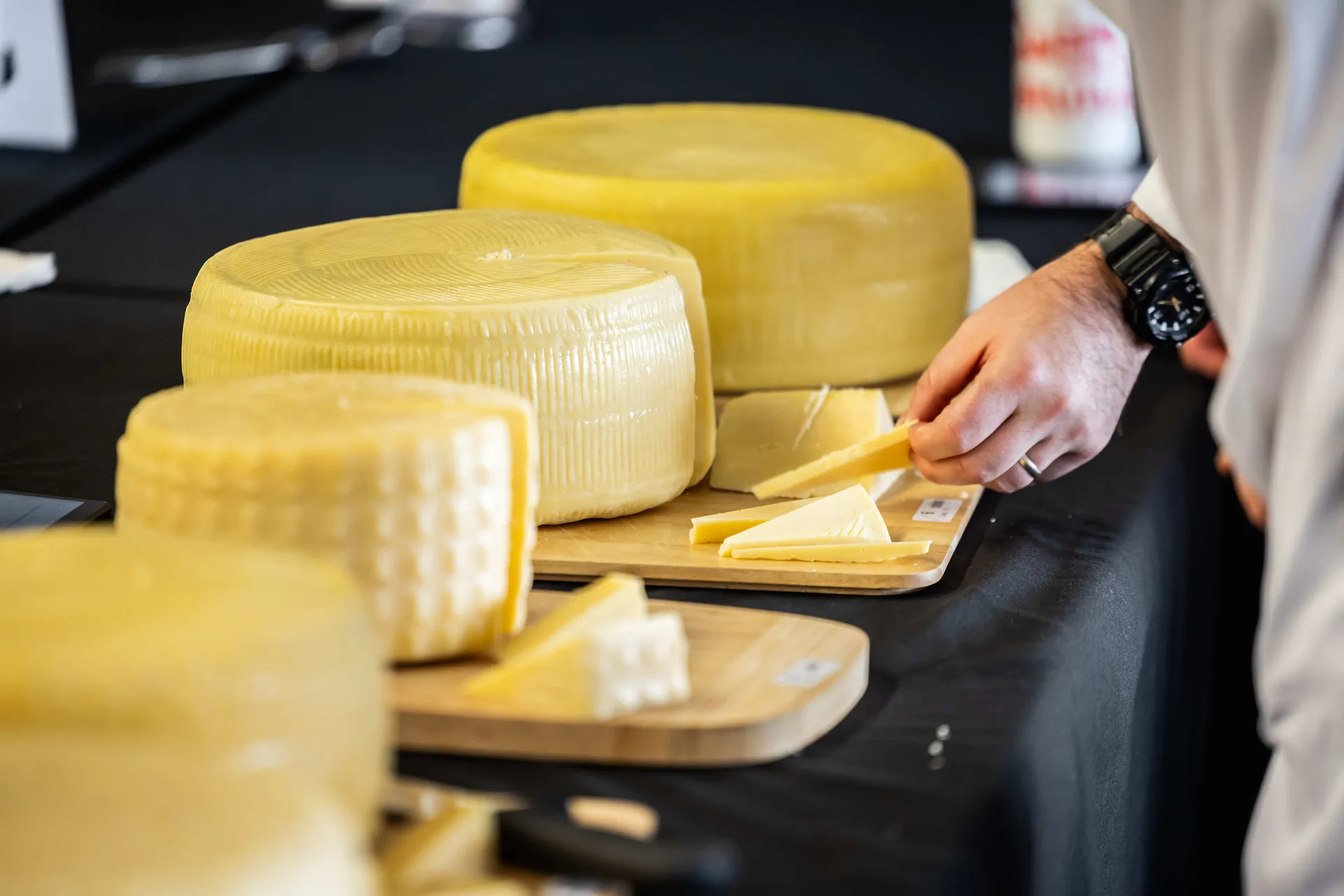 Cheese wheels and samples prepared for judging at the Perth Royal Food Awards