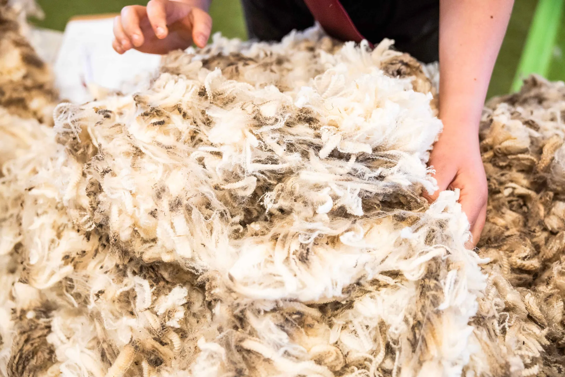 Wool