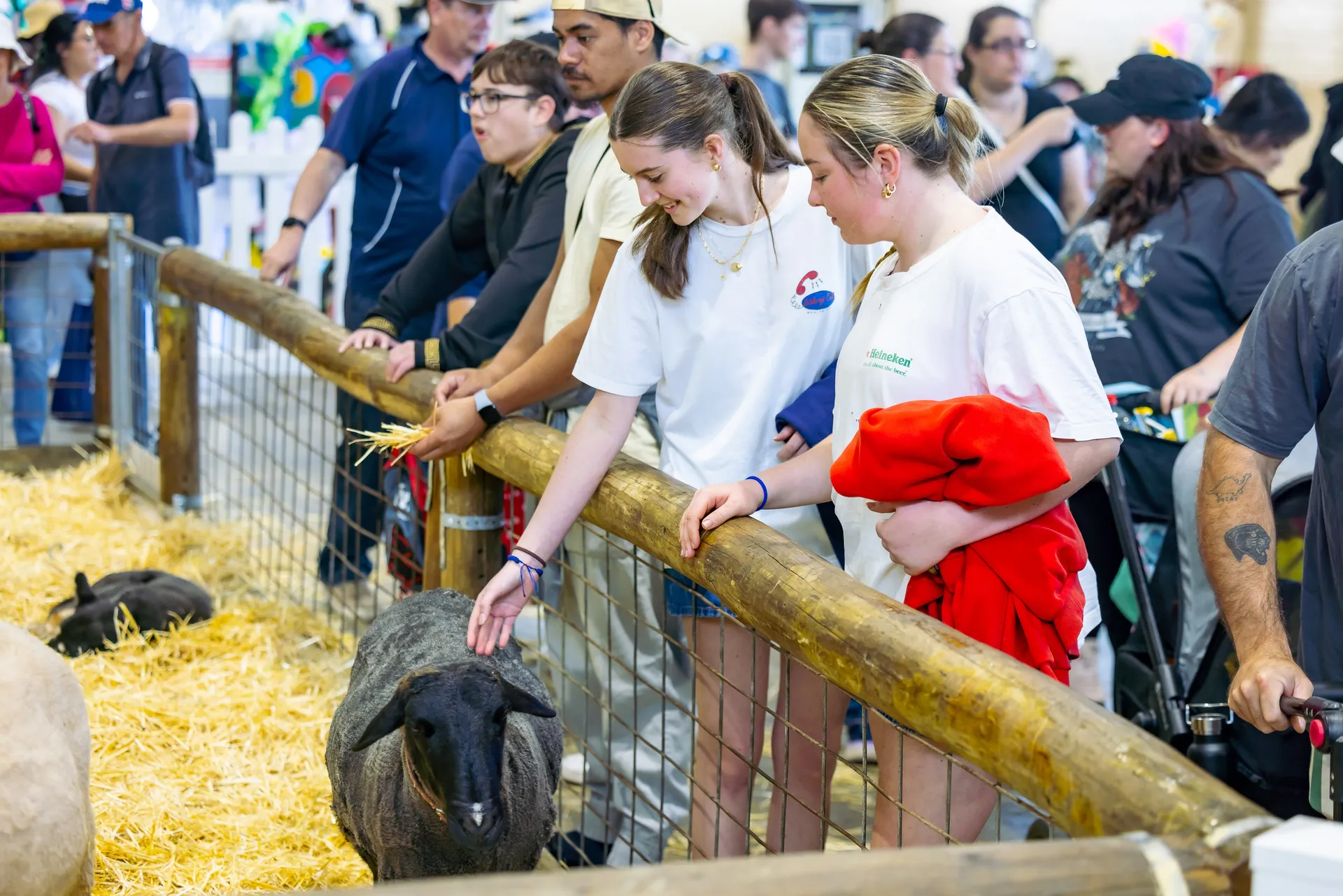 People petting the animals in Animal Nursery