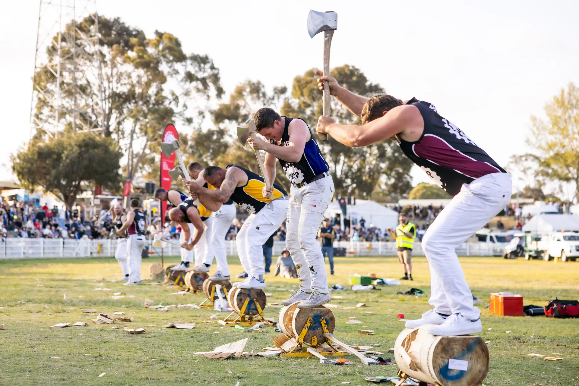Woodchopping