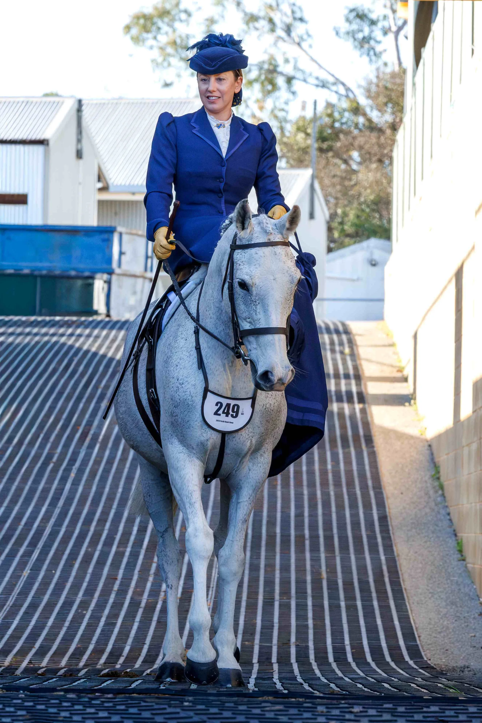 horse