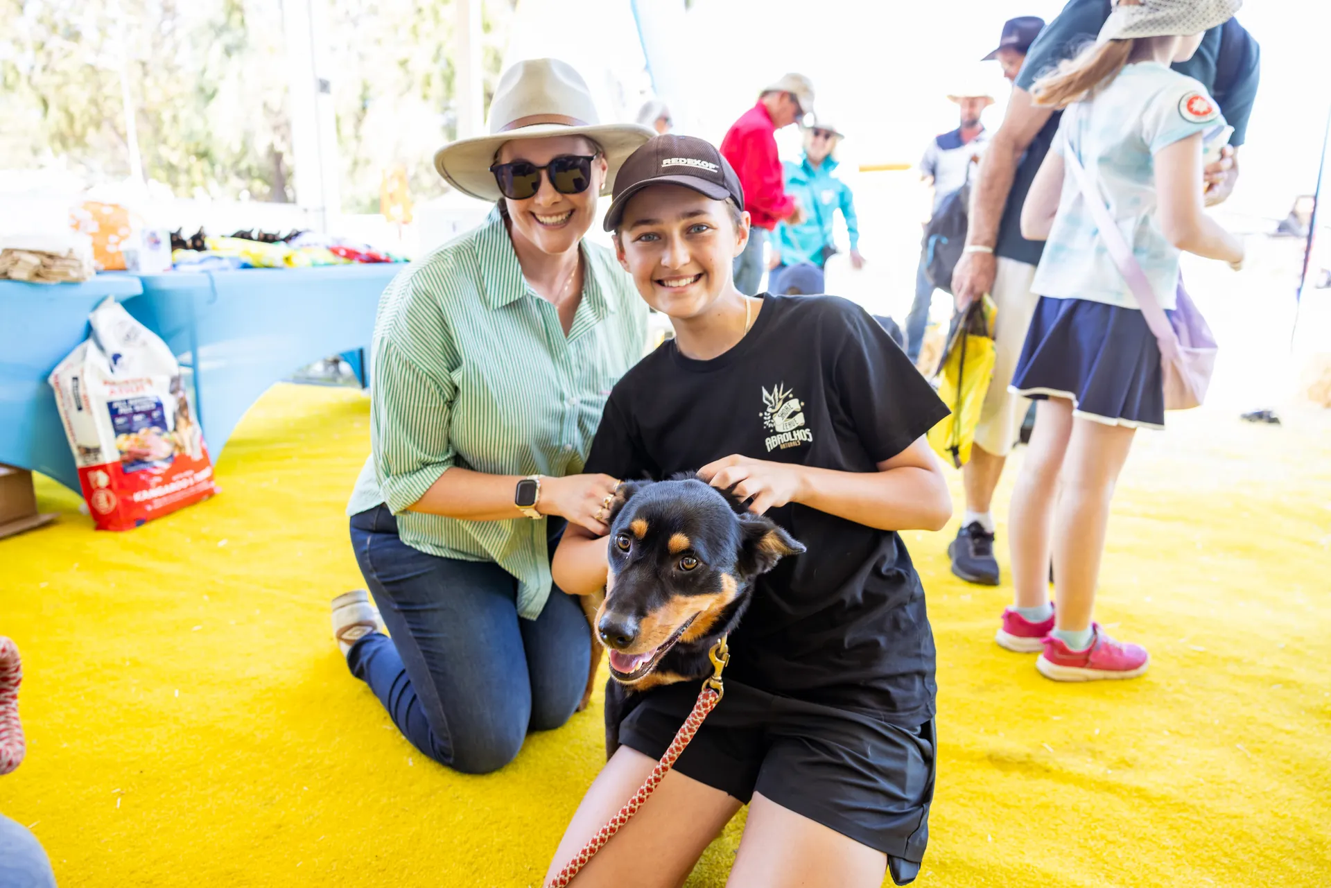 Pat a Kelpie at the 2025 Perth Royal Show