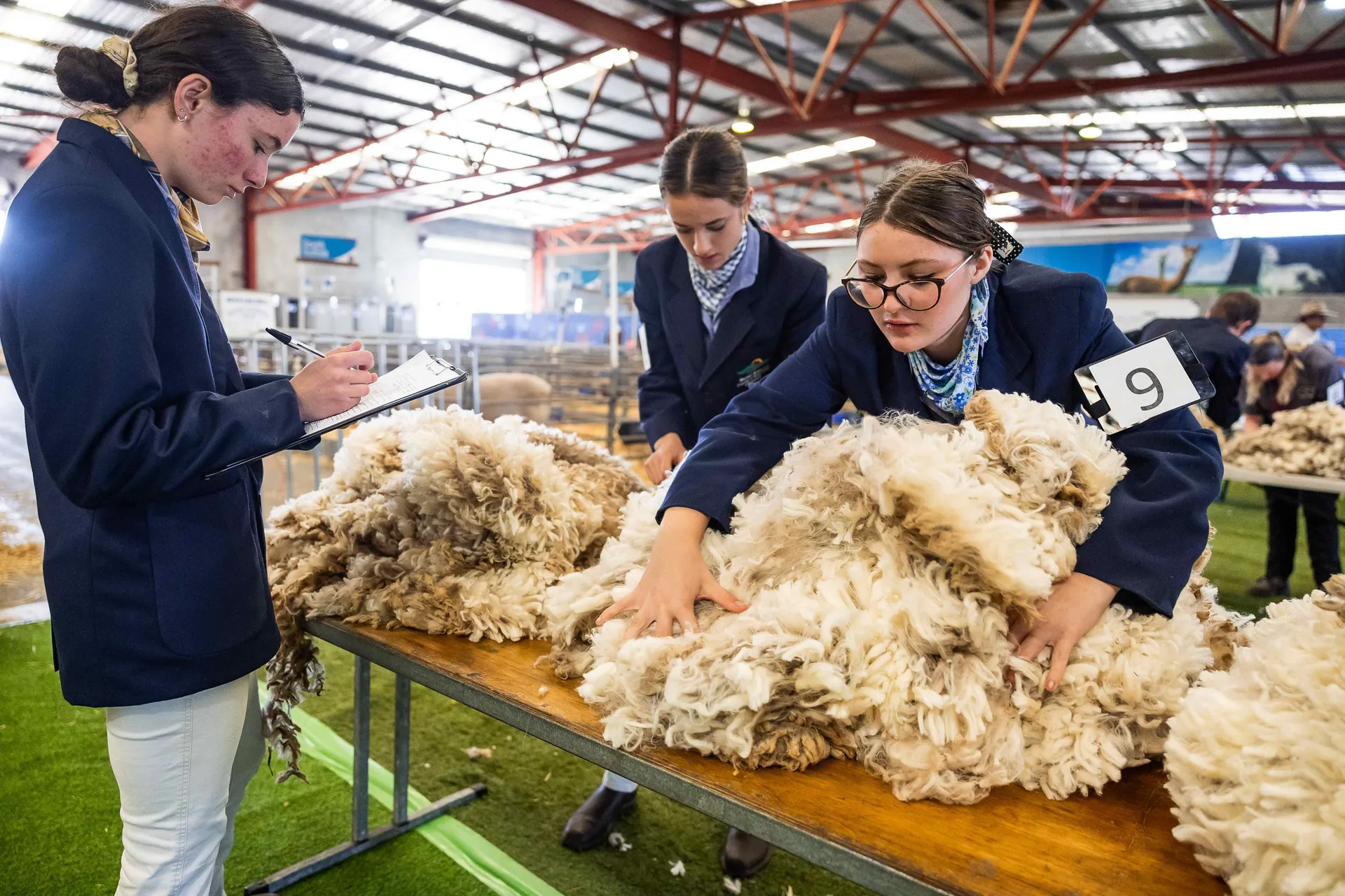 Wool