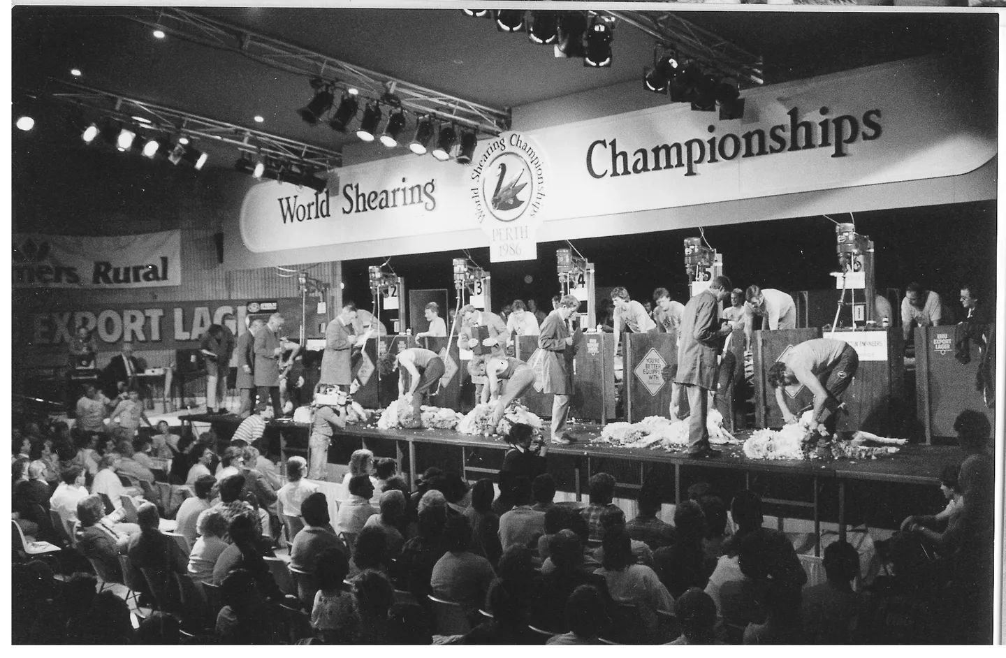World shearing championship