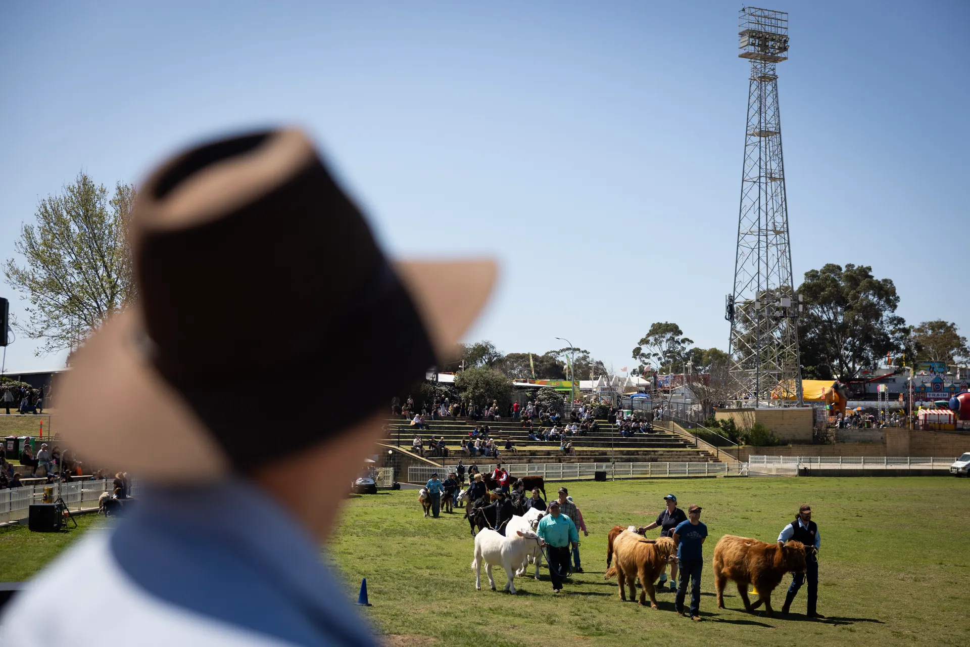 Royal Show Day 1