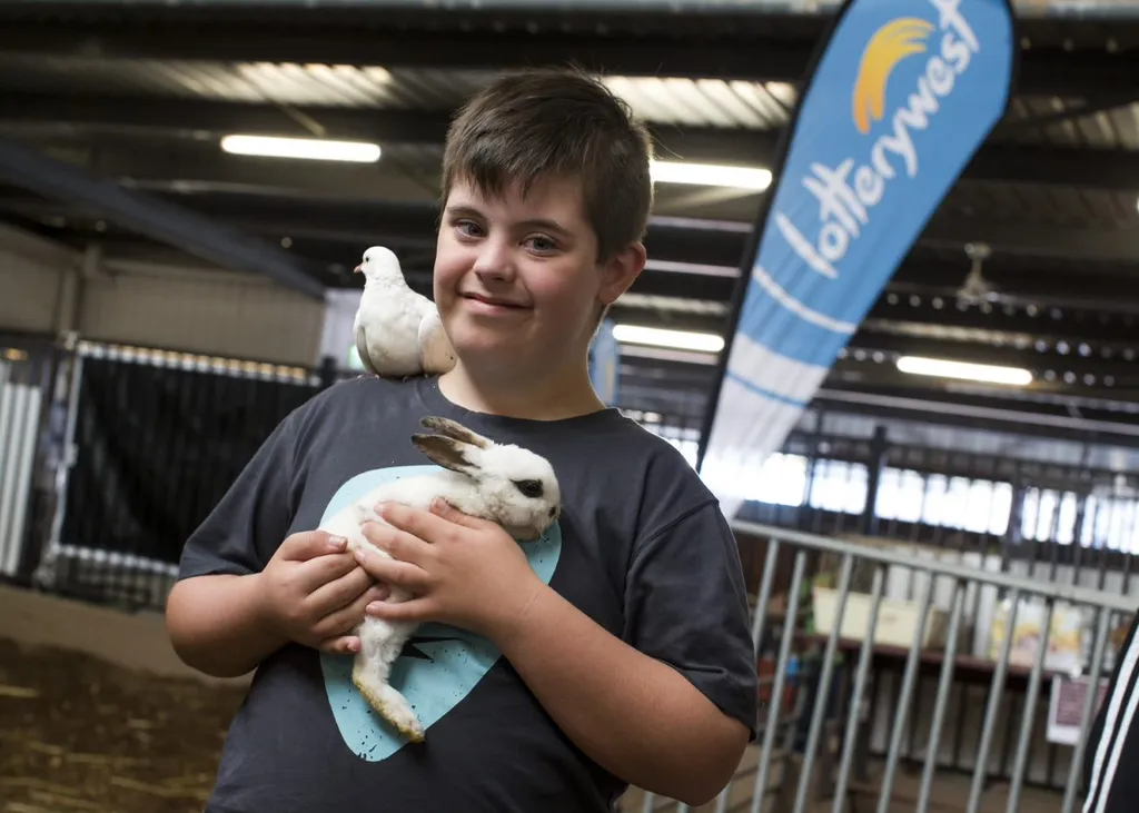 Child holding a small rabbit with a white bird perched on their shoulder inside an animal pavilion at Perth Royal Show.