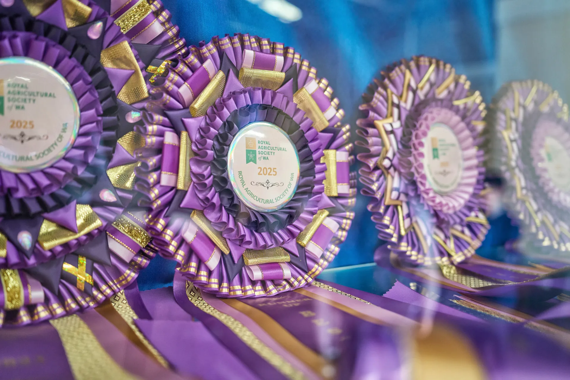 RASWA Award Winners