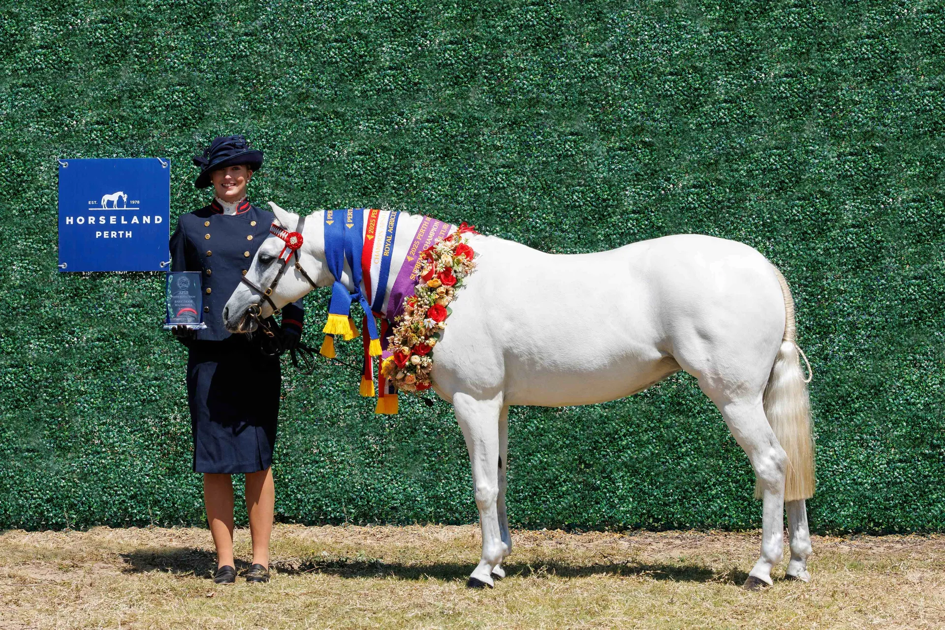 Horse Breed