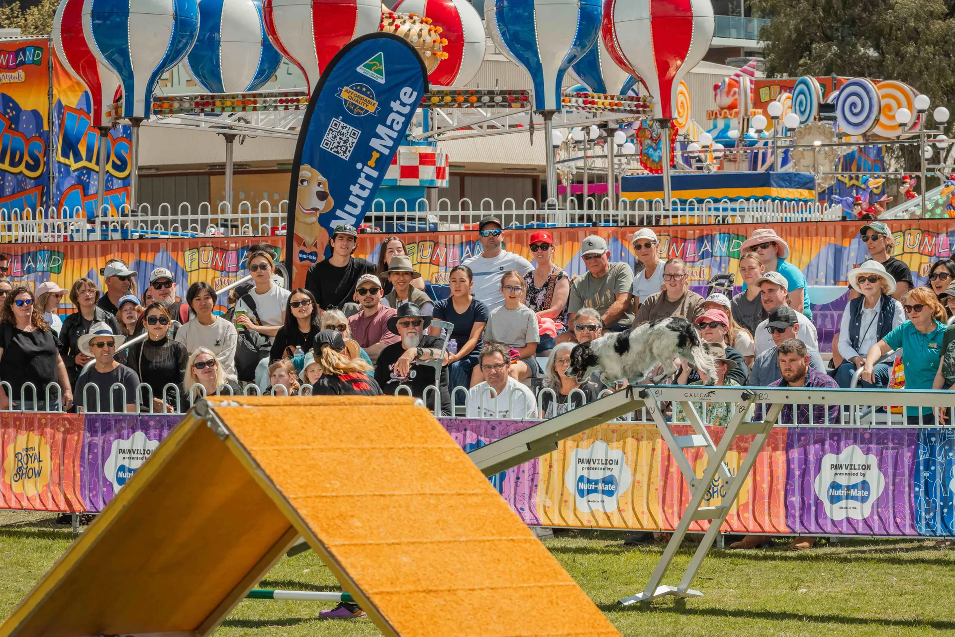 A dog agility demonstration at the Perth Royal Show, with a crowd watching as a dog crosses an obstacle in the Paw Pavilion.
