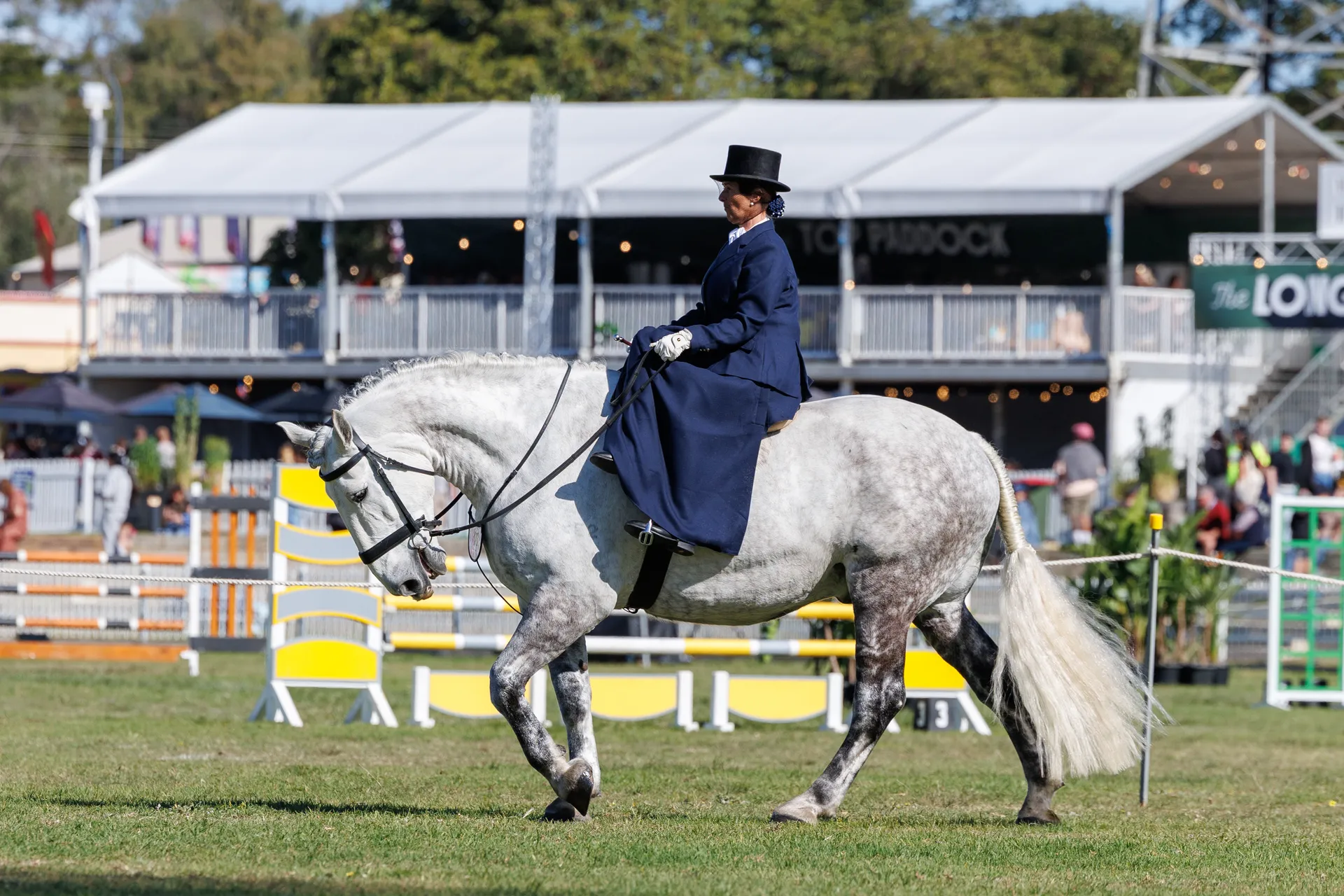 Side Saddle