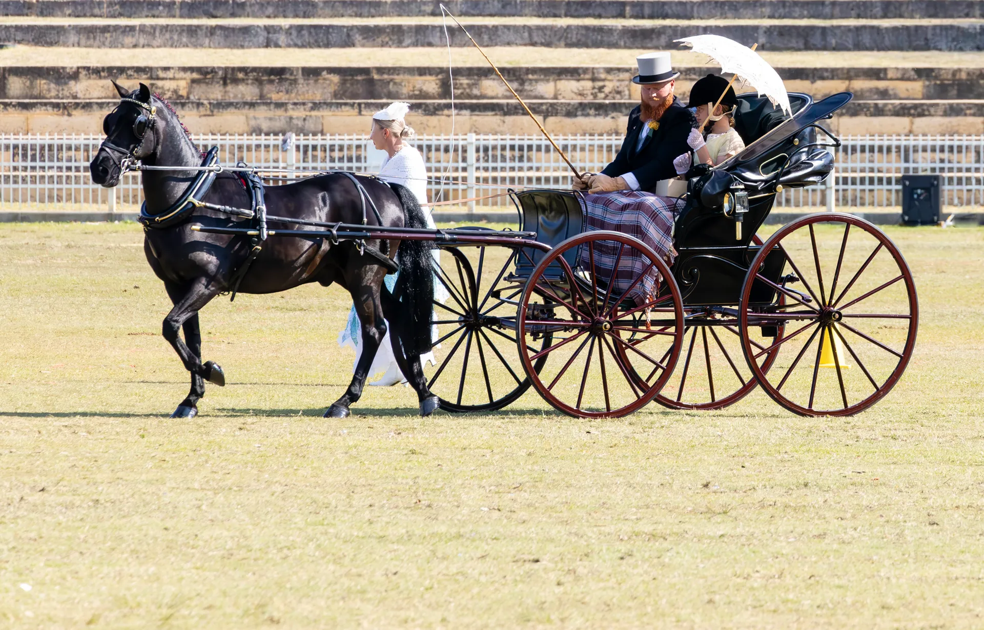 Concours d'Elegance Harness Event