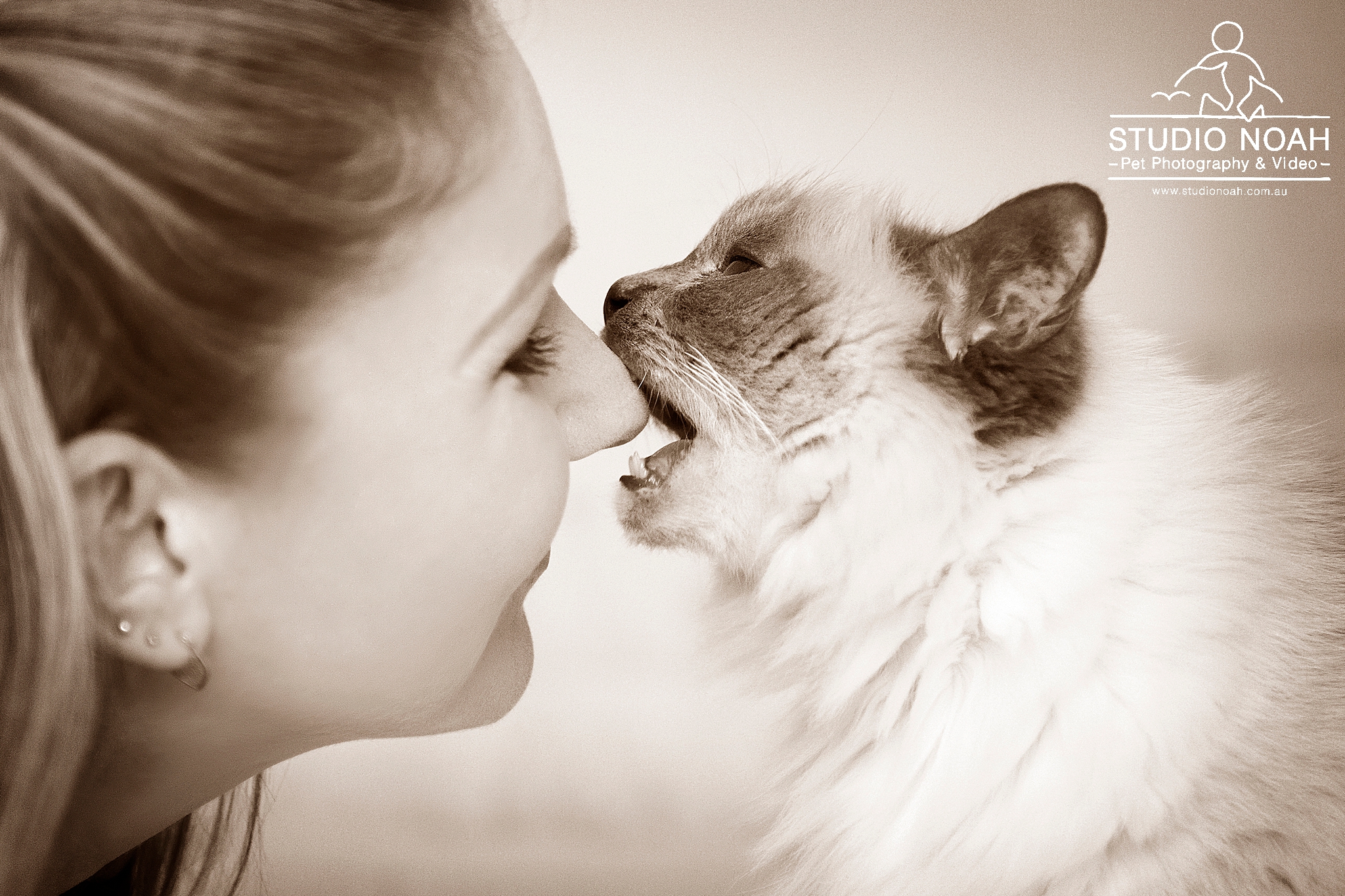 Studio Noah Pet Photography