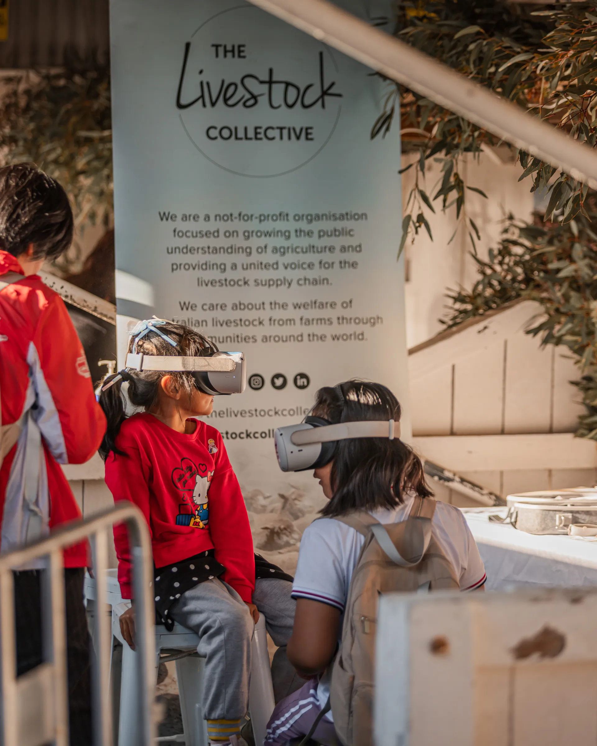 Livestock Collective VR