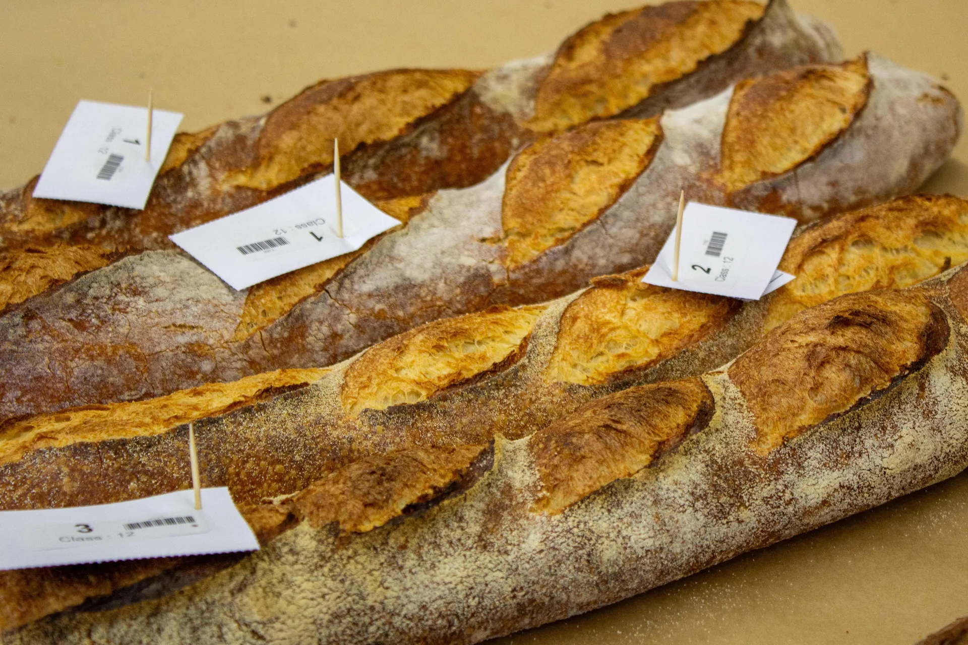 Bread entries displayed for judging at the Perth Royal Food Awards