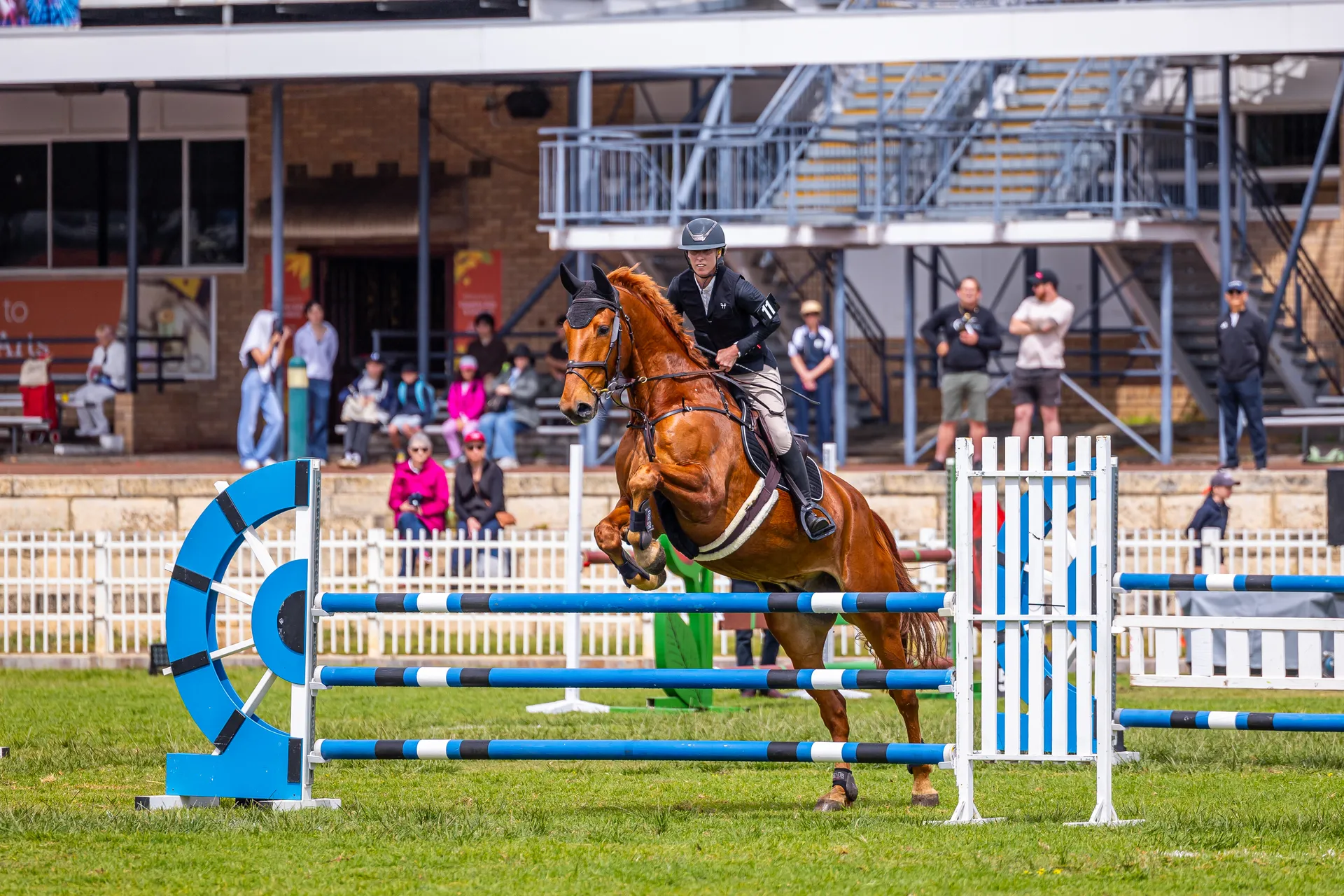 Show Jumping Competition